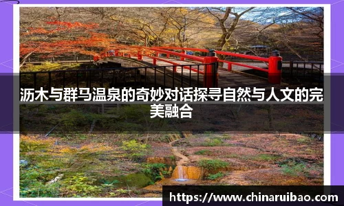 EMC易倍体育官方入口